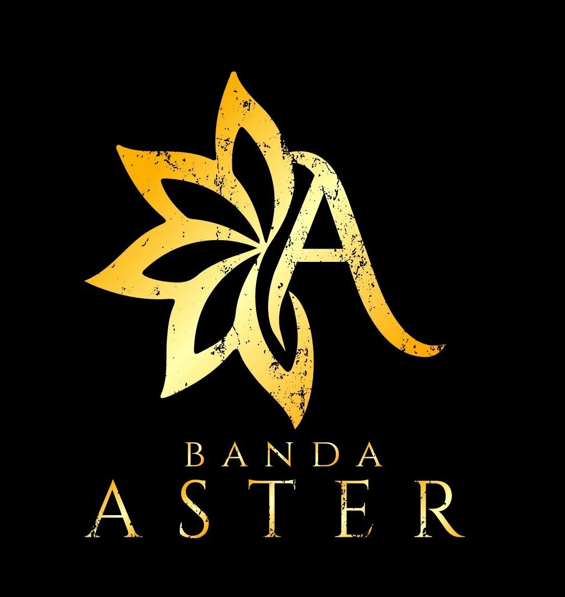 Áster Rock